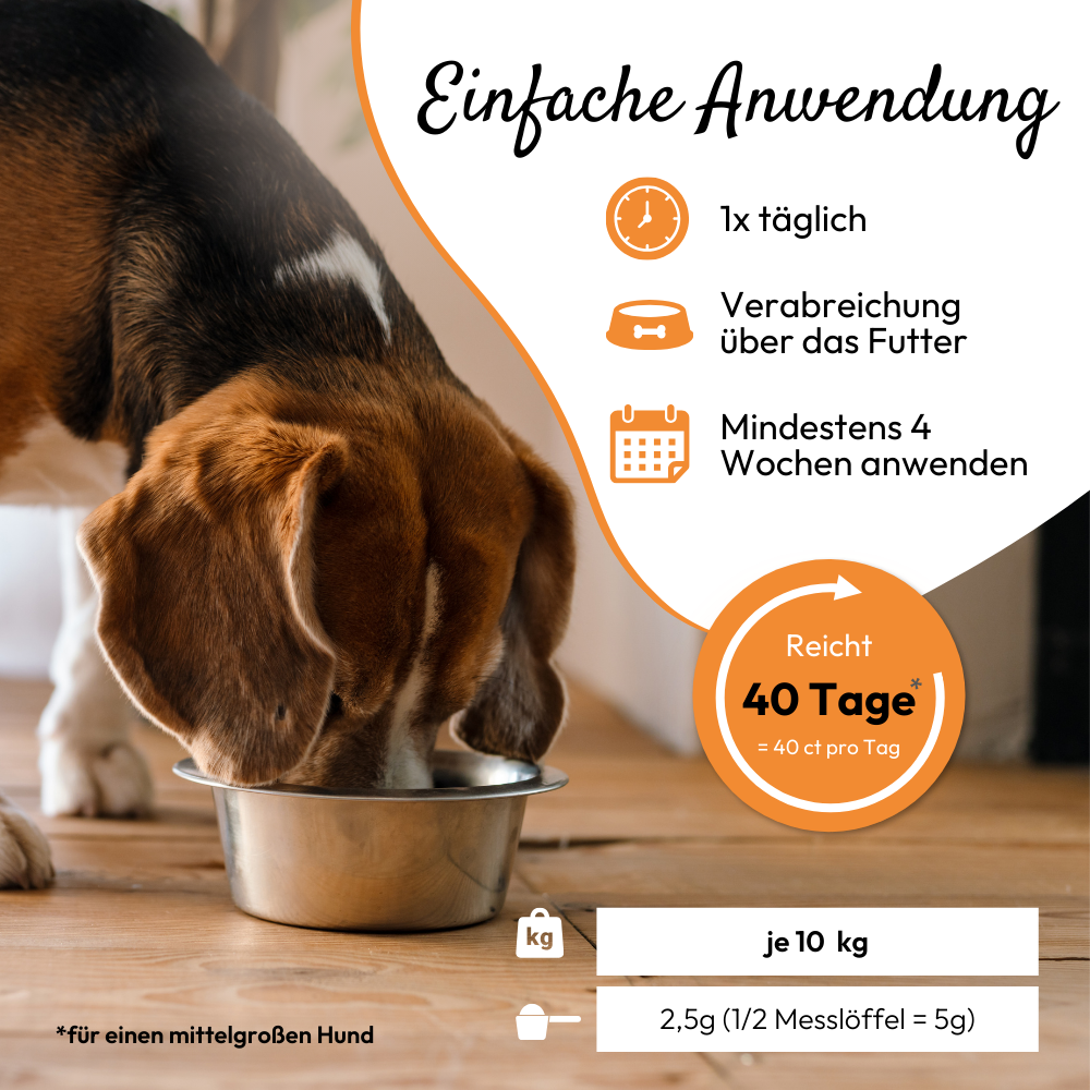 Kauartikel.com GmbH - Wholesale Pet Supplement - Dog - PHA MagenVital for dogs 200g3