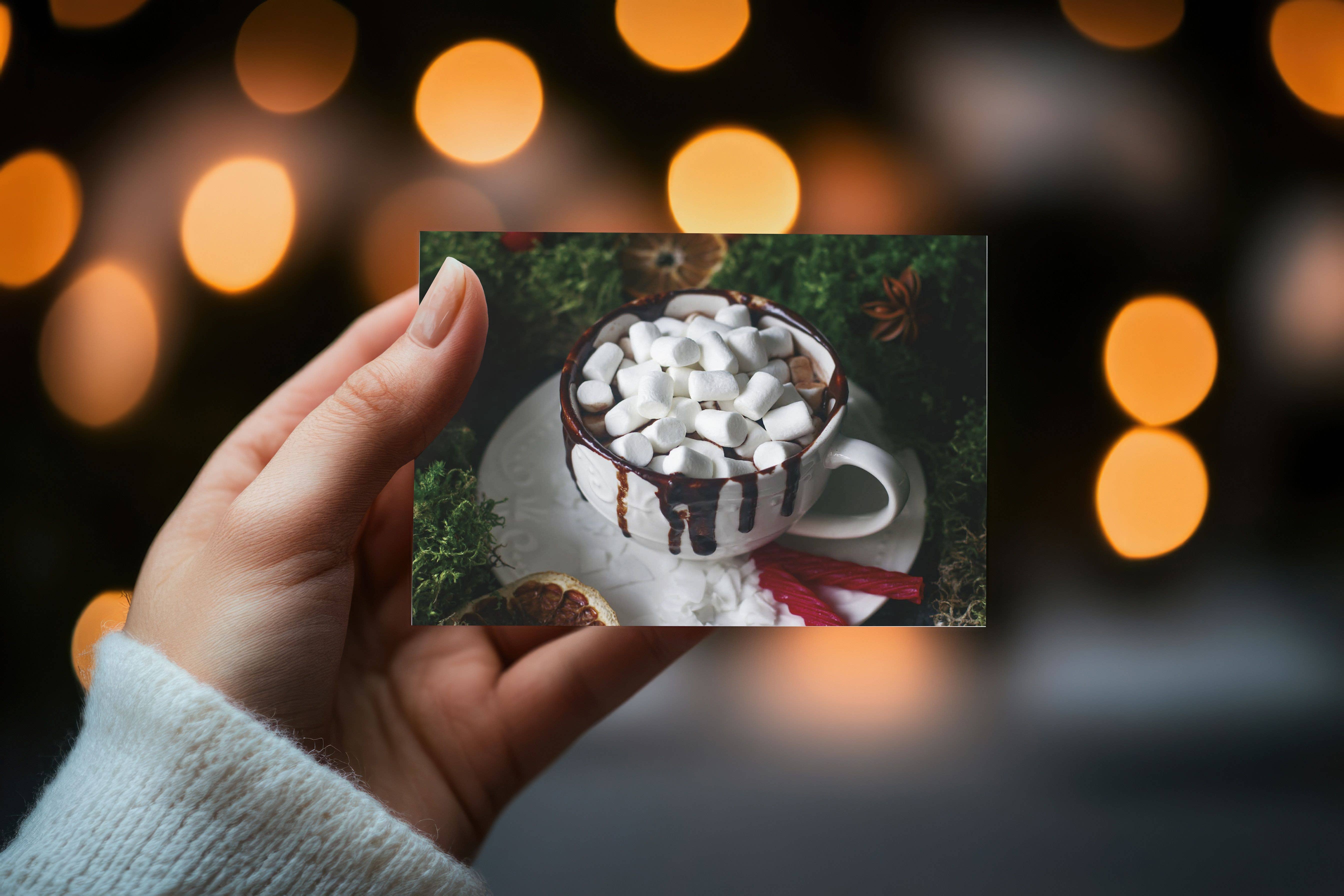 Crown Point Graphics - Vente Cartes de Noël - Cartes de Noël religieuses en boîte - Noël douillet KJV2