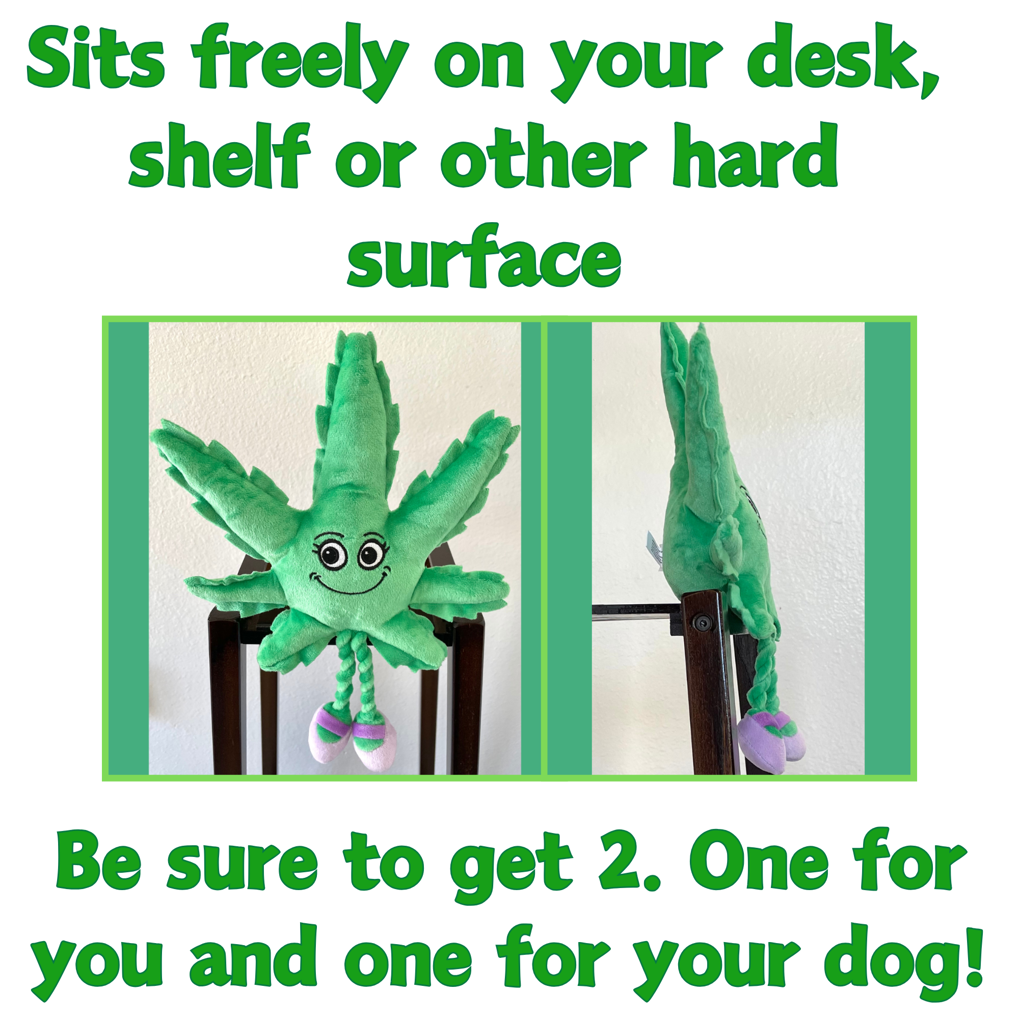 PAW:20 - Wholesale Pet Squeaky Toy - Dog - Mary Jane the Marijuana Leaf, 420 Dog Toy & Shelf-Sitter5