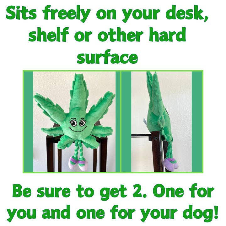PAW:20 - Wholesale Pet Squeaky Toy - Dog - Mary Jane the Marijuana Leaf, 420 Dog Toy & Shelf-Sitter5