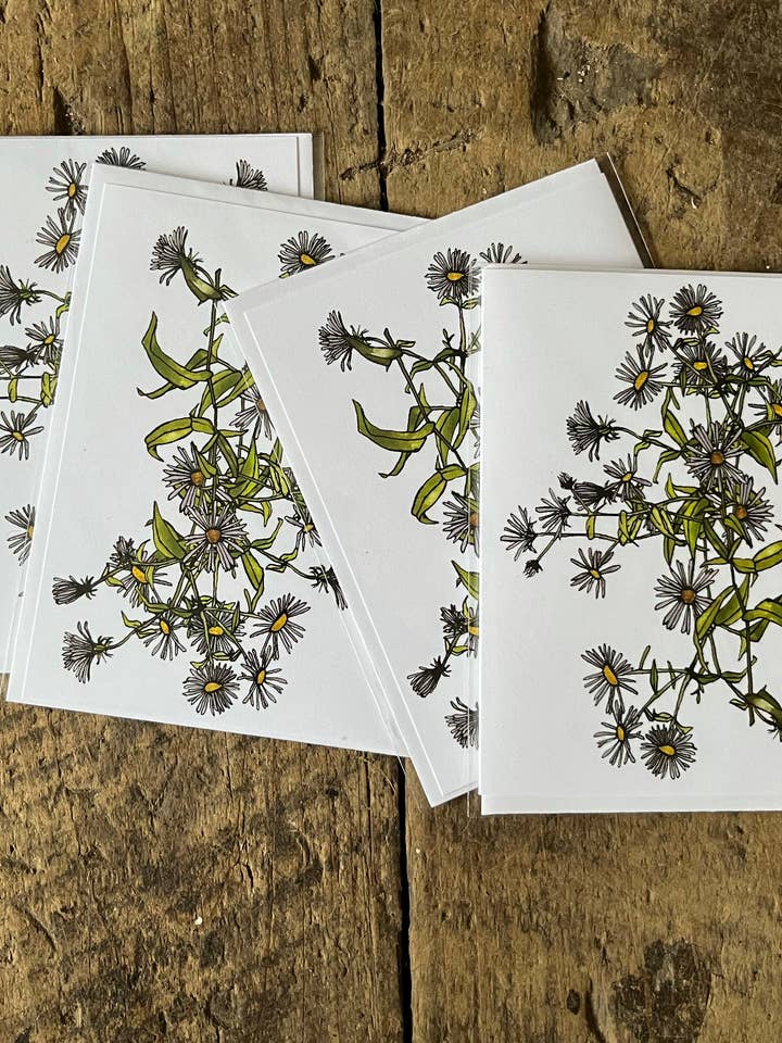 Aster-kort för wholesale av Brienne Cosman Design