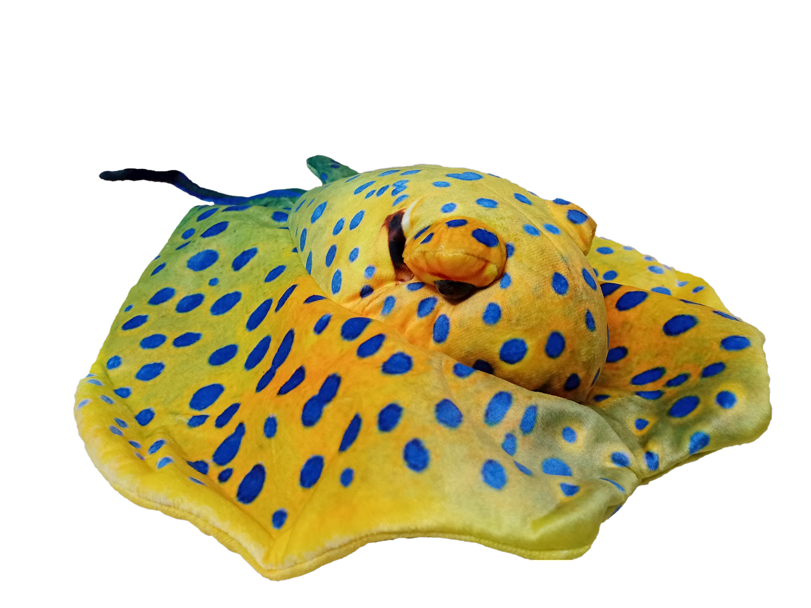 Texas Toy Distribution - Wholesale Stuffed/Plush Toy - Kids & Baby - Green Stingray 21" Plush Aquatic Stuffed Animal4