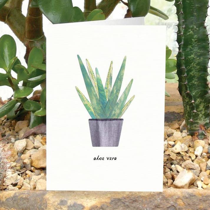 Aloe Vera Card for wholesale by Paperwhale Cards & Paper Goods