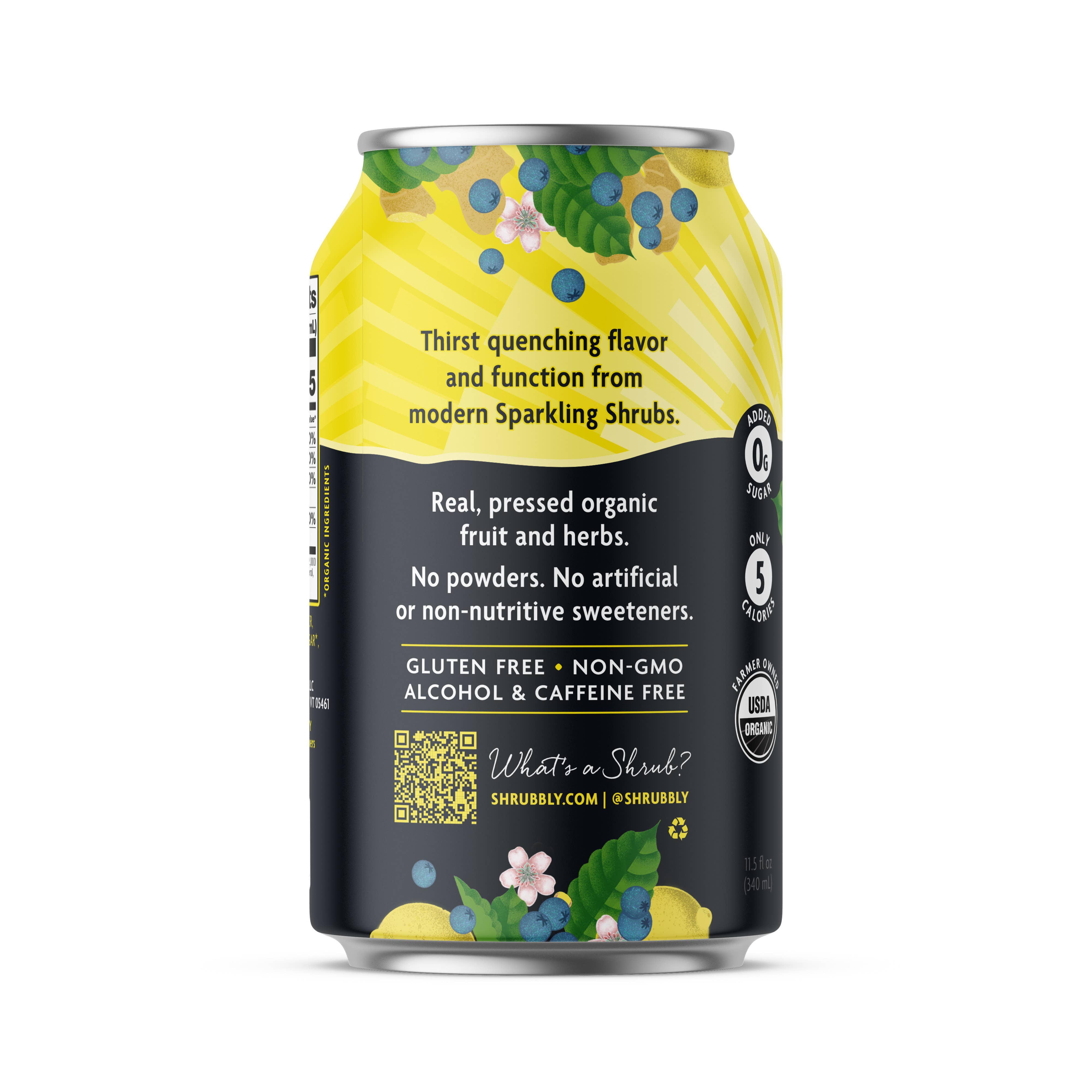 Shrubbly - Wholesale Sparkling Water - Lemon + Ginger + Aronia Berry Shrubbly1