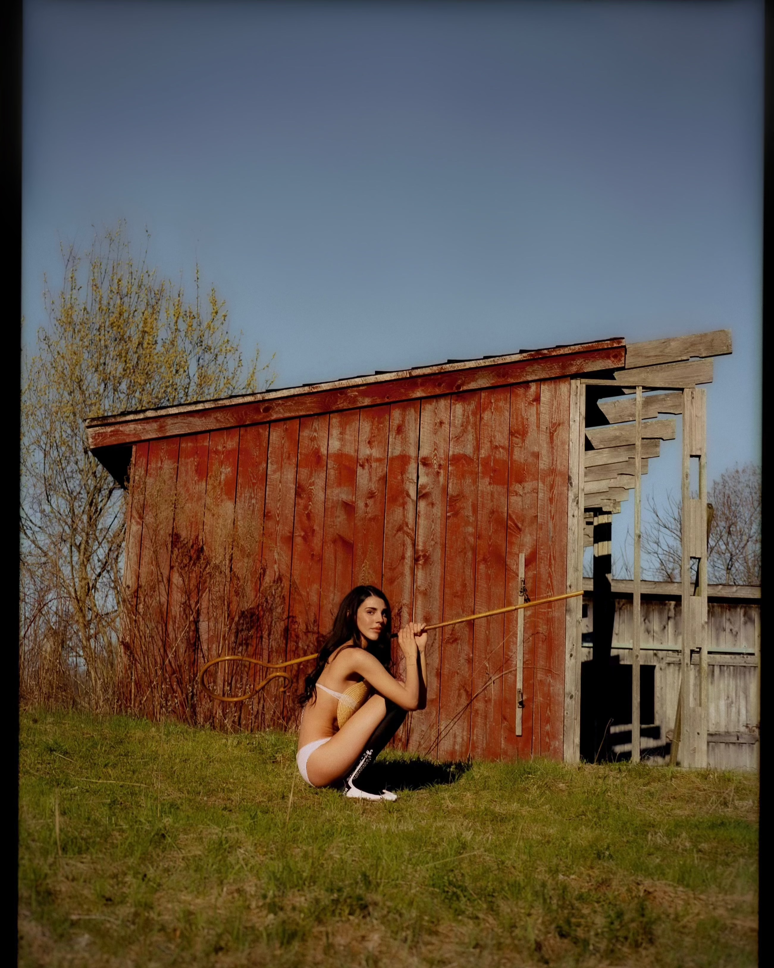 Confezione mista Confezione da 2 calzini ultralti Orion misti in vendita all'ingrosso su Faire4