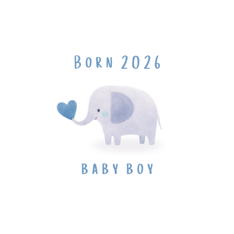 Petimo – wholesale Baby card – Born 2026 Blue New Baby Boy Cute Elephant Card2