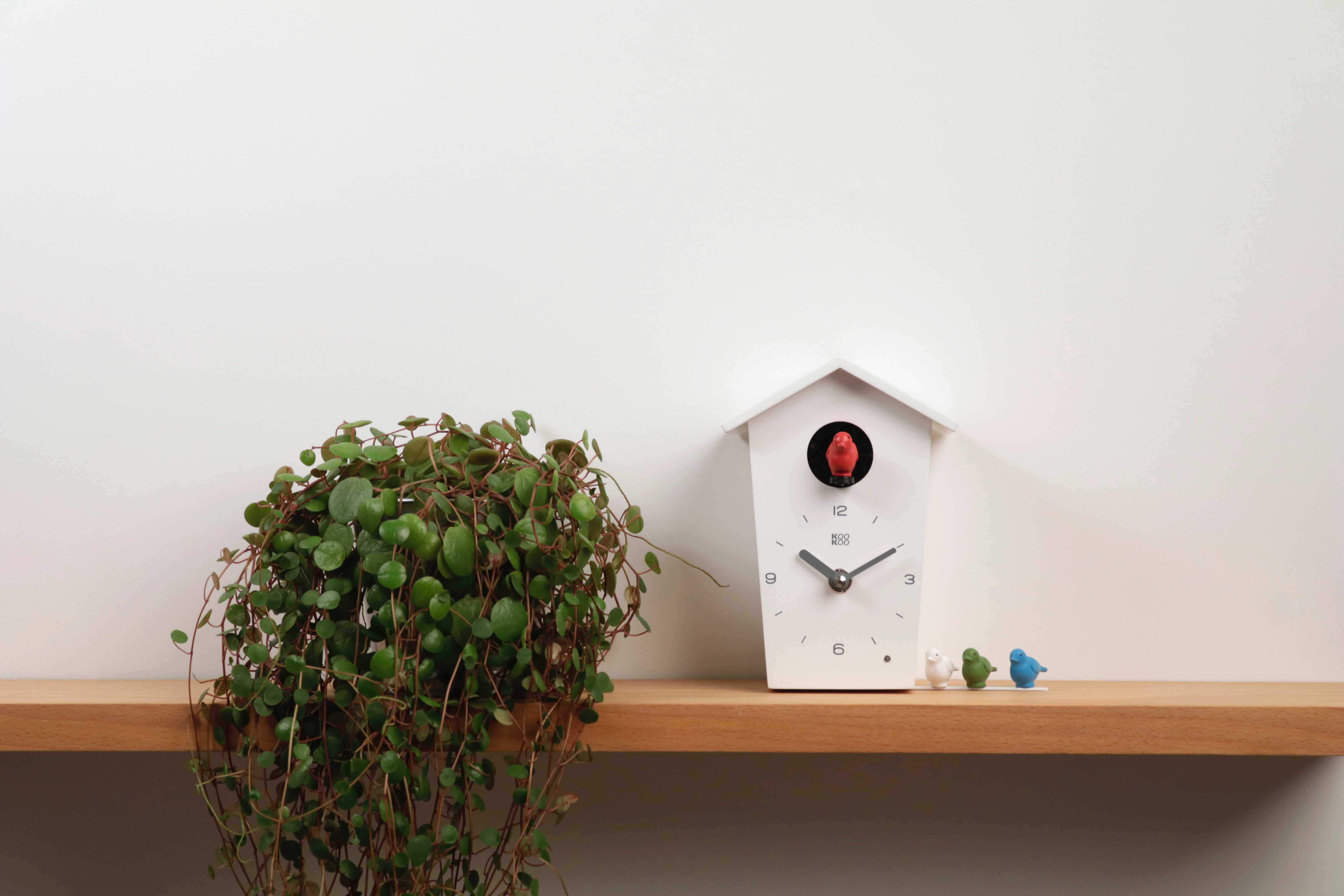 KooKoo GmbH - Wholesale Wall Clock - KOOKOO BirdHouse mini (black, white)8