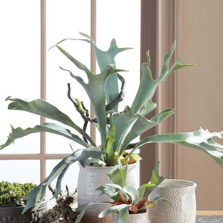 Napa Home & Garden - Wholesale Artificial Plant - Staghorn Fern Drop-In 22"1