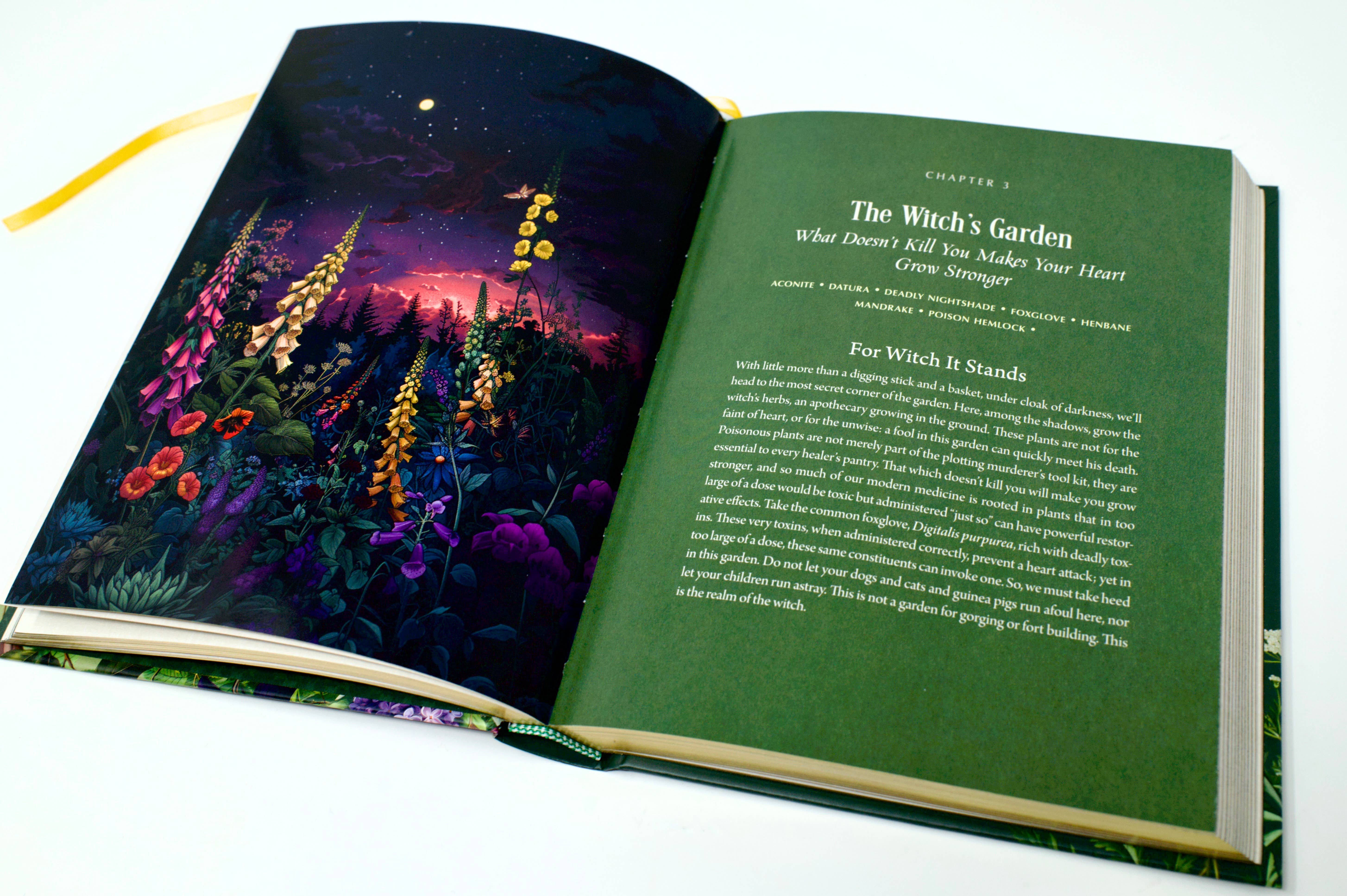 Red Wheel/Weiser LLC - Wholesale Nature & Outdoors - Enchanted Plants: A Treasury of Botanical Folklore and Magic7