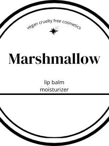 Volledig natuurlijke lippenboterbalsem | Handgemaakte en biologische balsem voor wholesale door Cleo Nala