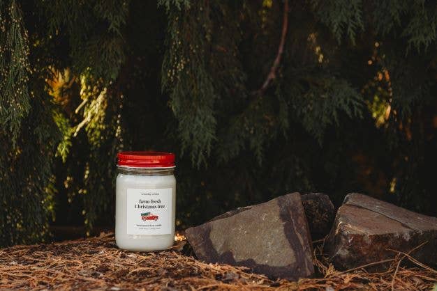 Woodsy Wicks - Vendita all'ingrosso Candela in vasetto - Candela natalizia Farmhouse 100% cera di soia, stoppino in legno o cotone5