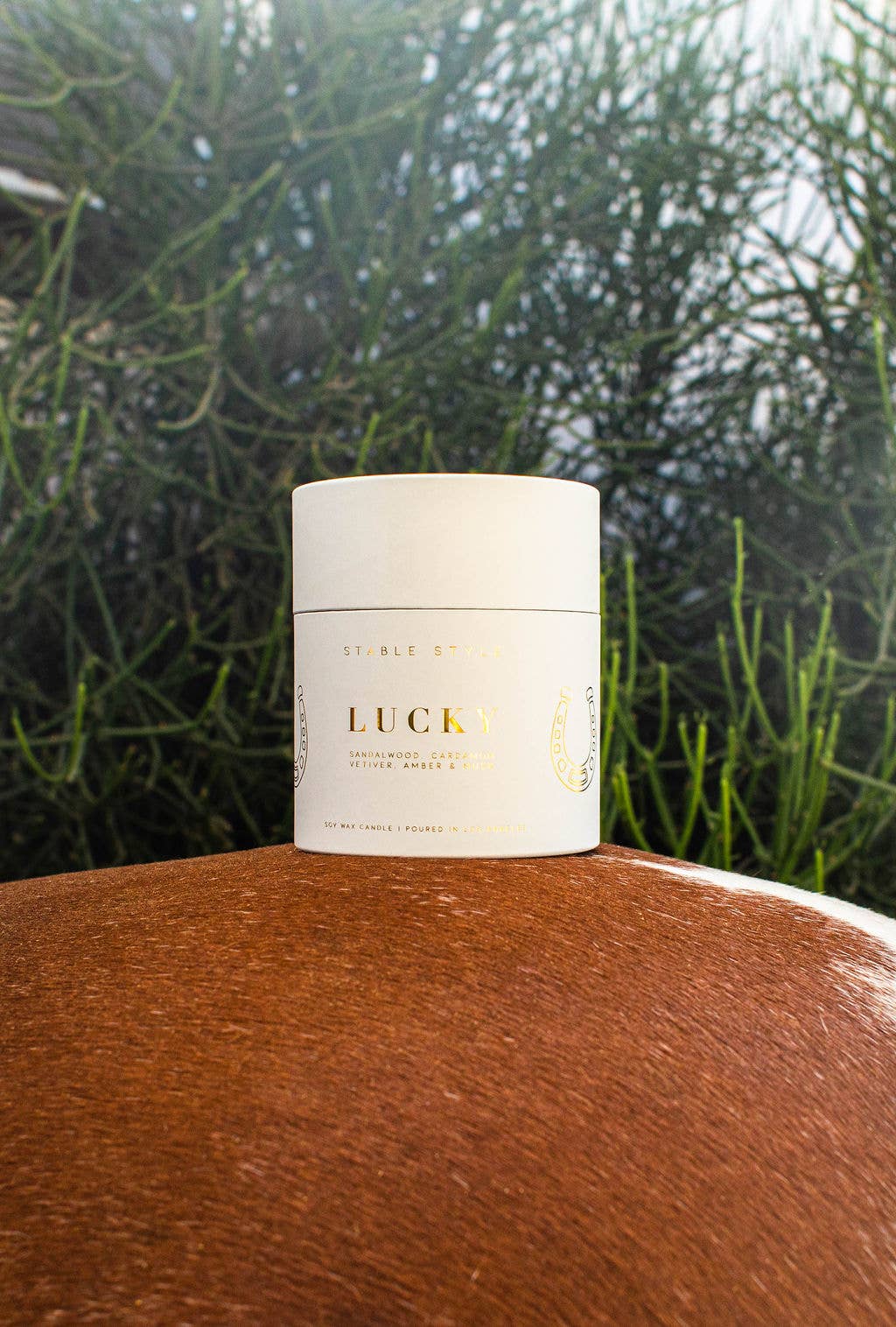 Stable Style - Wholesale Jar/Filled Candle - Horseshoe Soy Wax Candle - Lucky 5