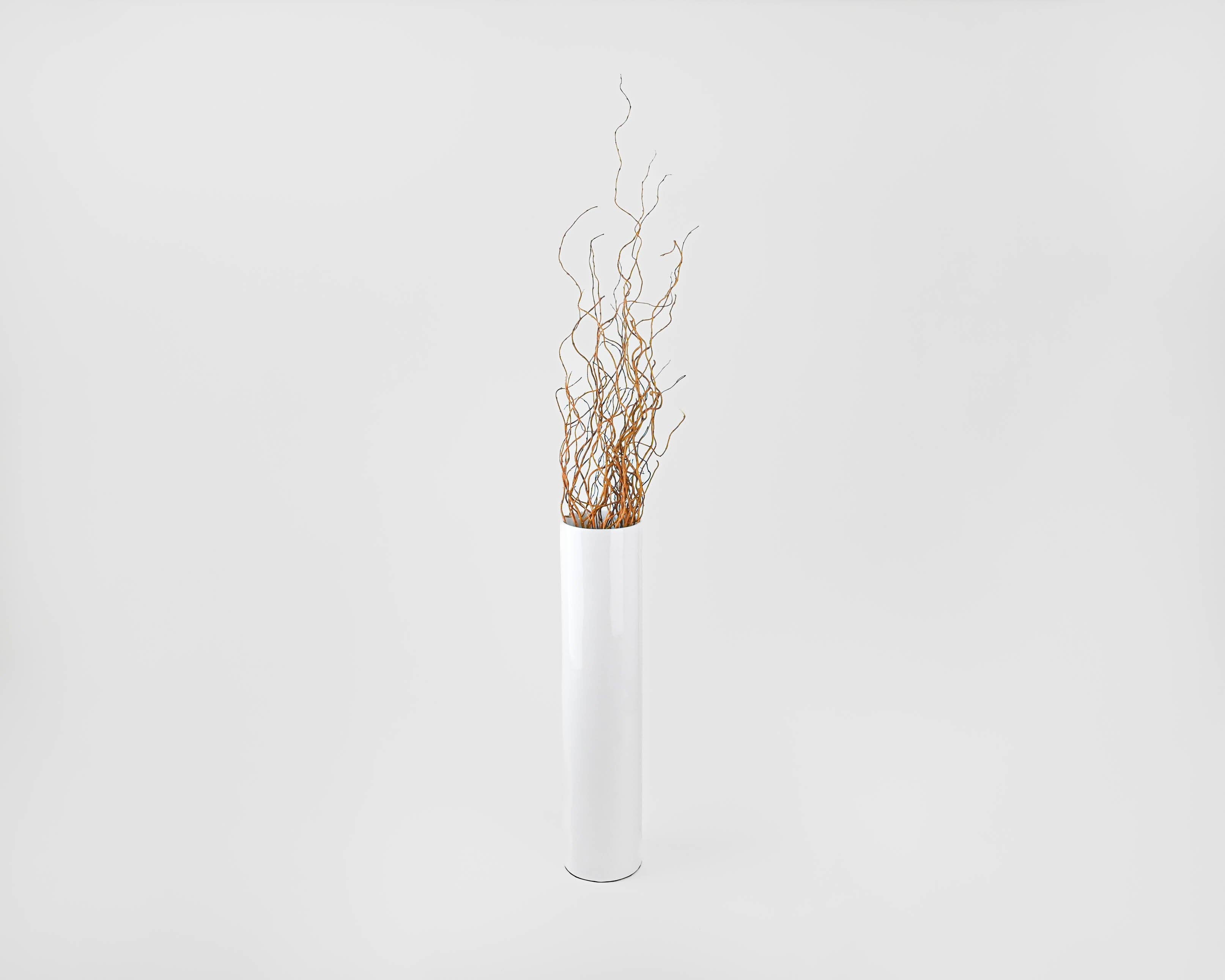 Dried Decor - Vente Fleur séchée/pressée - Branches de saule tortueux pour arrangements (longue tige) | 12 bouquets | Marron clair2