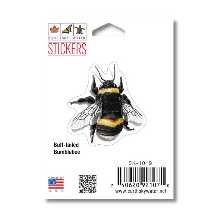 Buff-tailed Bumblebee Nature Sticker, 2.5" x 3.5" for wholesale by Earth Sky + Water
