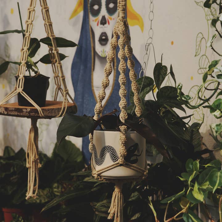 Soul of the Party - Vendita all'ingrosso Fioriere a sospensione - Appendiabiti a doppia elica1