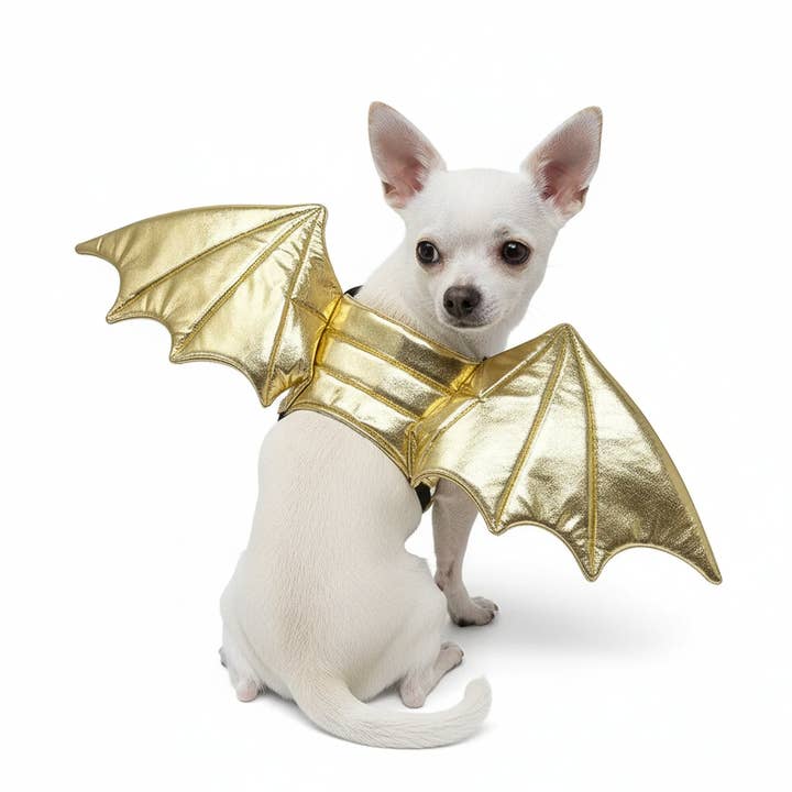 Gold Dragon Wings for wholesale by Dogo Pet