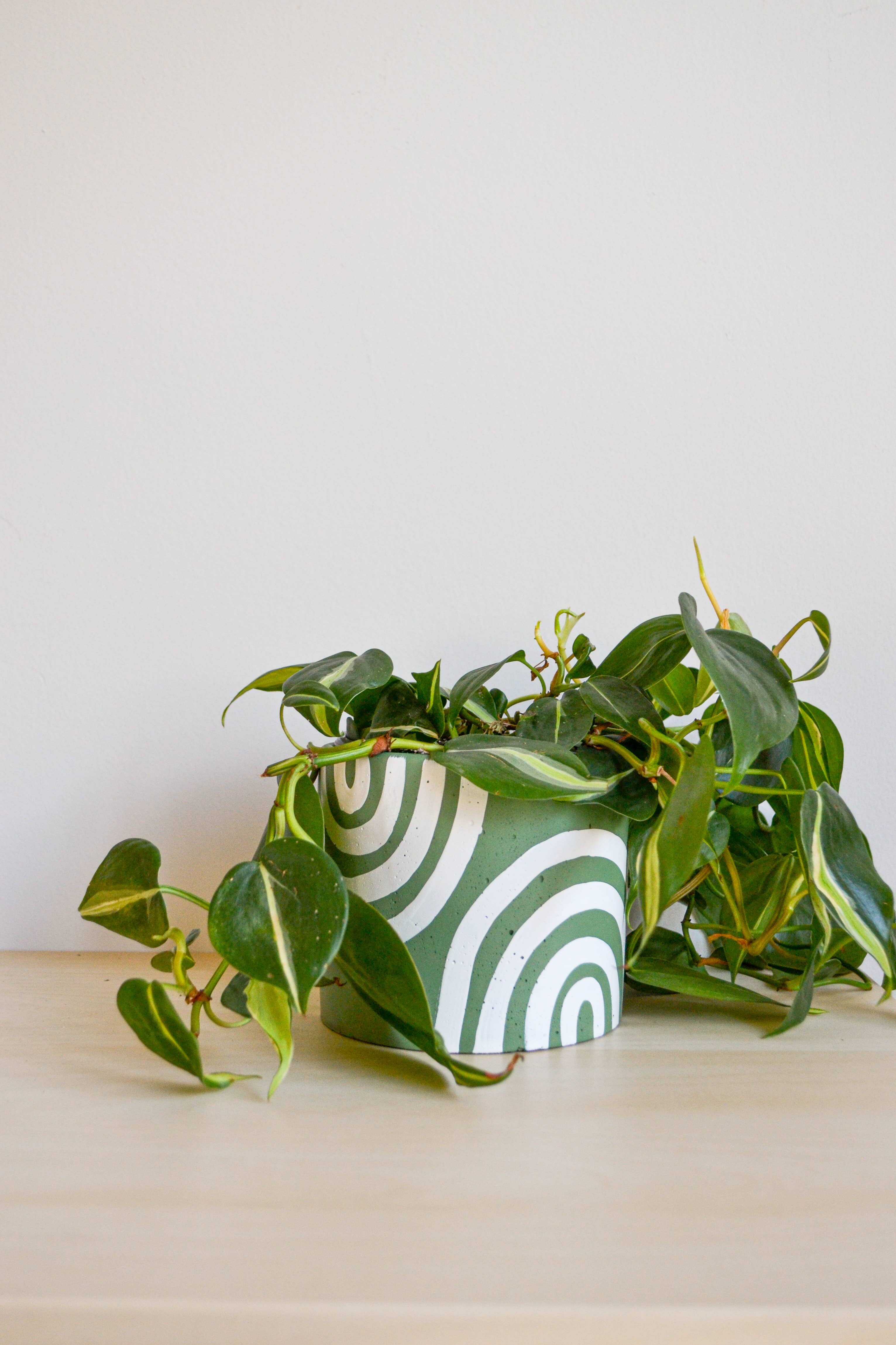 LindaMakess - Vendita all'ingrosso Vasi per piante - Fioriera arcobaleno dipinta a mano | Più colori6