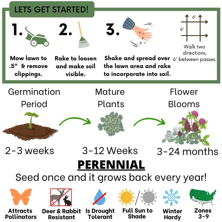 Flawn Seed Kits - Wholesale Plant Seeds - Tri-Colored Clover Seed Mix Compostable Hanging Pouches