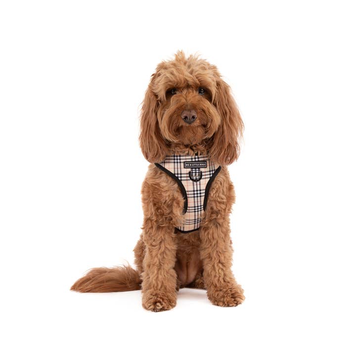 Big and Little Dogs - Wholesale Pet Harness - Dog - ADJUSTABLE DOG HARNESS: Nova Plaid