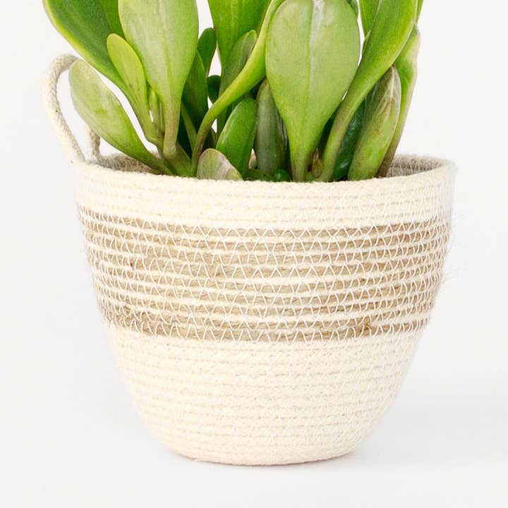 Jute Stripe Mini Rope Planter for engroshandel hos MOkun