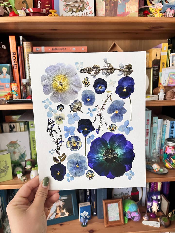 Blue Pressed Flower Art Print for wholesale by Owlhaired Designs