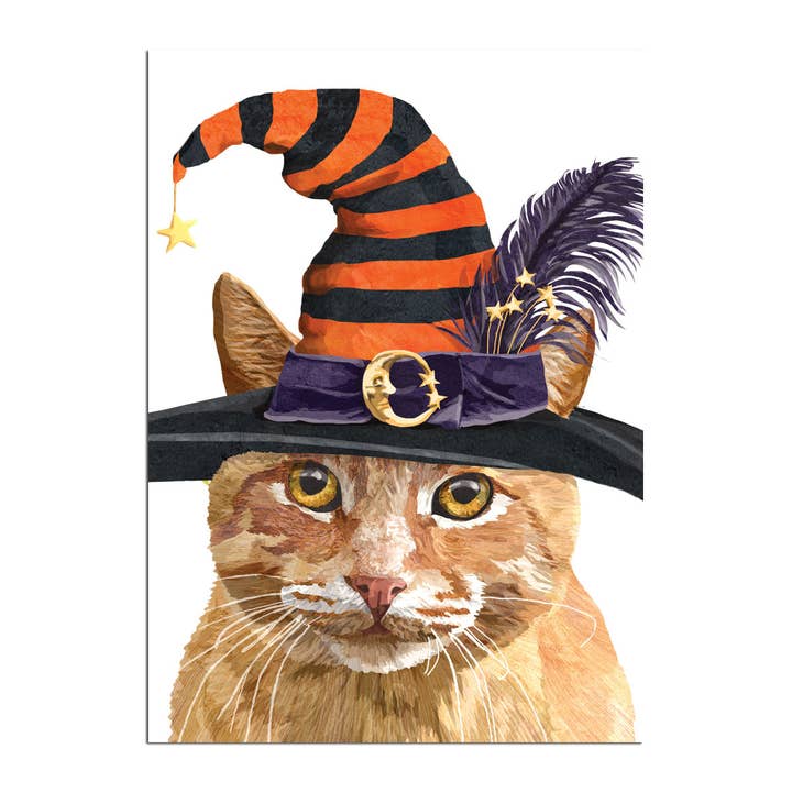 Cartão de Halloween da Bruxa Gato Malhado por atacado de Allport Editions