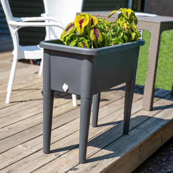 Sunnydaze Decor - Wholesale Planter Box - Self-Watering Raised Garden Bed with Cloche Cover1