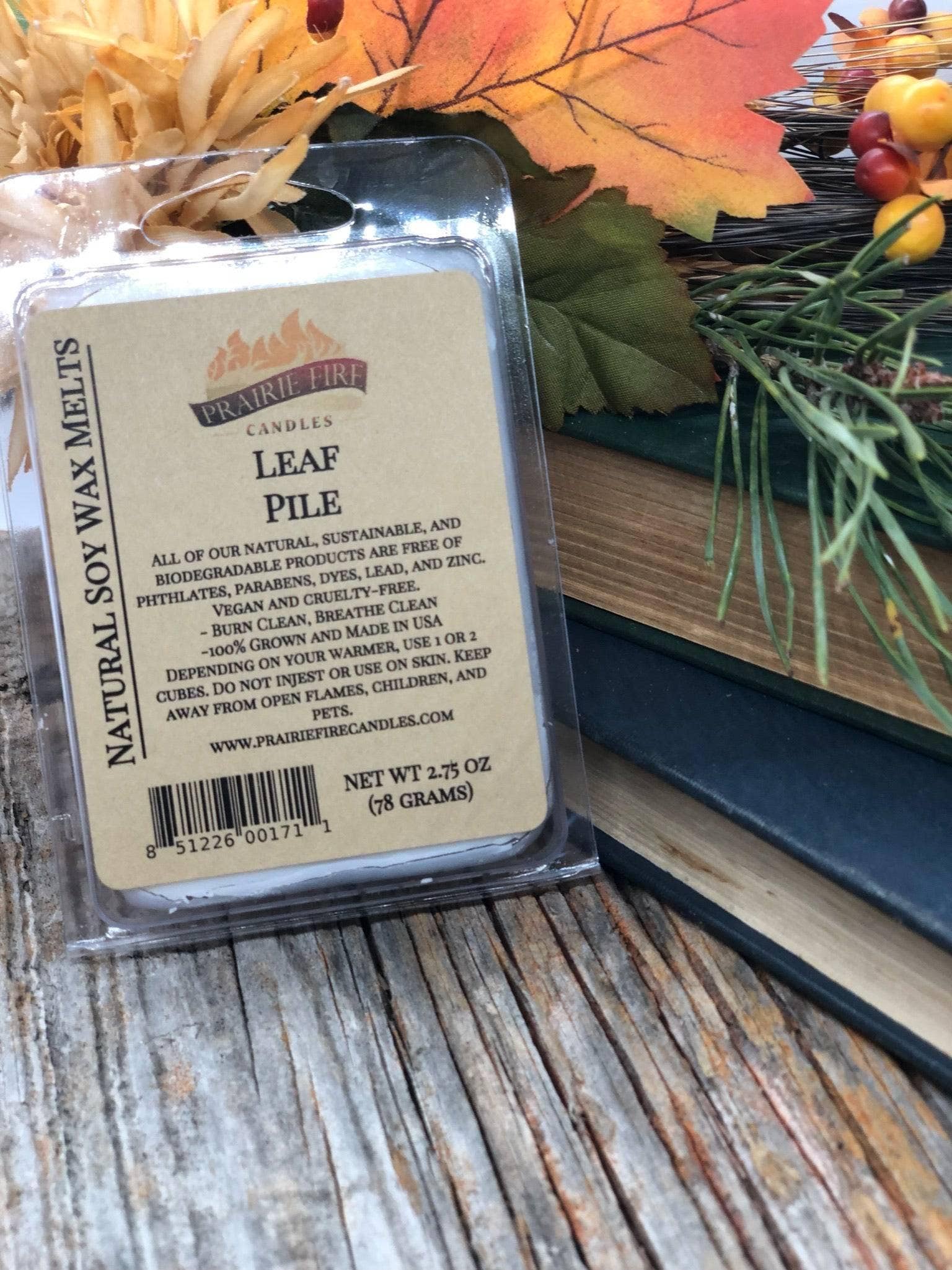 VIAI Beauty - Wholesale Wax Melt - PRAIRIE FIRE Soy Wax Melts | Wax Cubes | Wickless Candles | Small Batch | Vegan11