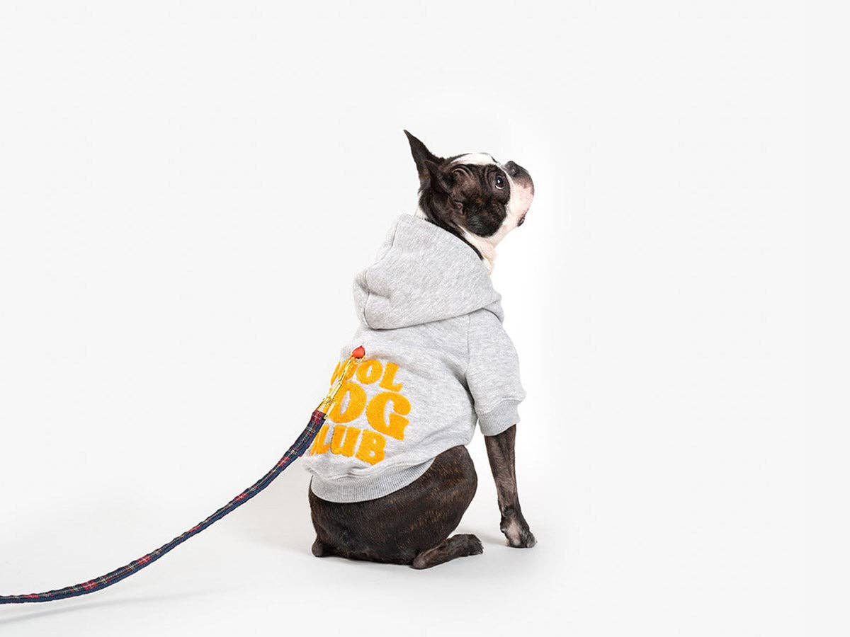 French Bandit - Wholesale Pet Hoodie - Dog - Hooded hoodies for dogs2