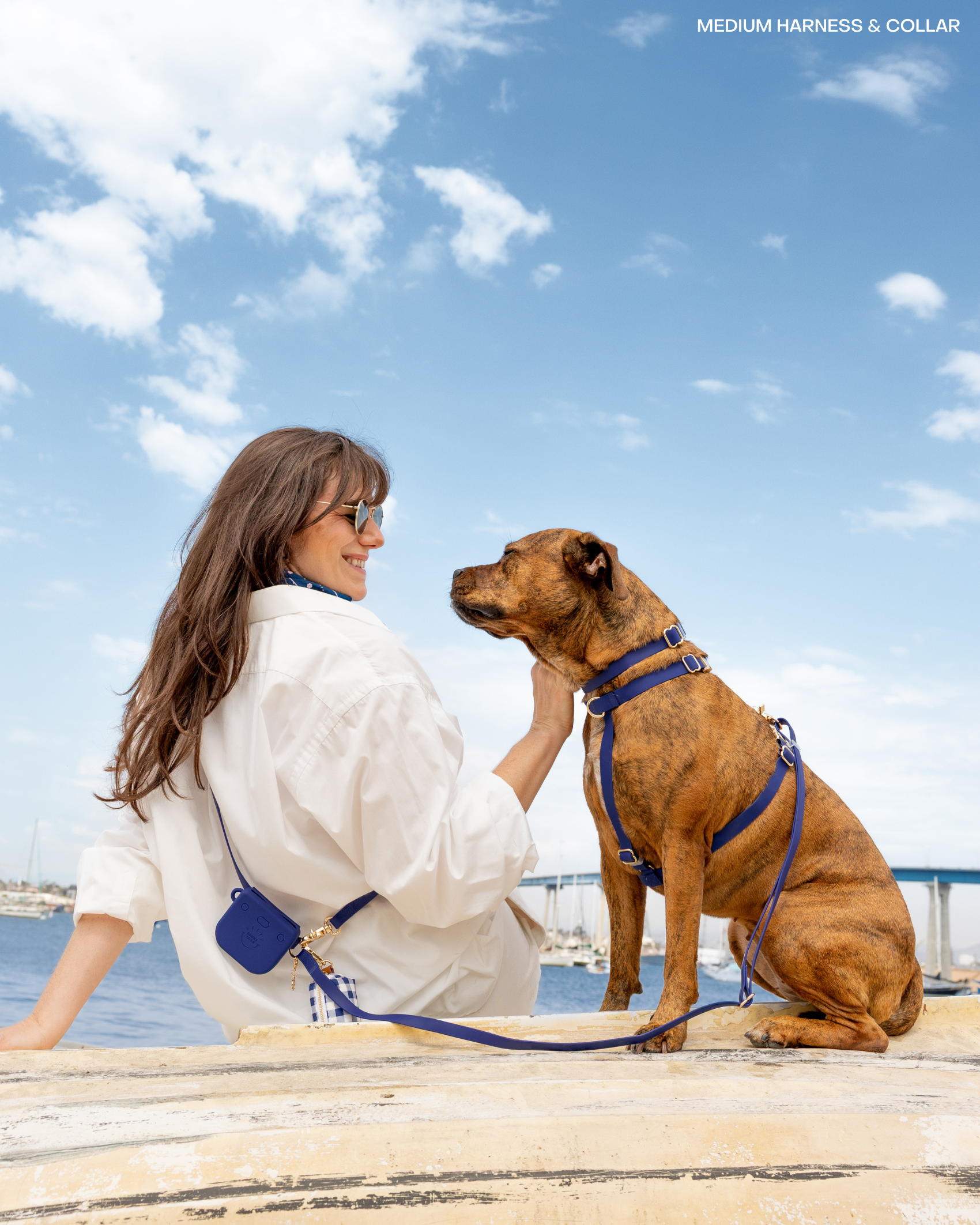 SUNNY TAILS - Wholesale Pet Harness - Dog - Signature Navy Cloud Lite Dog Harness9