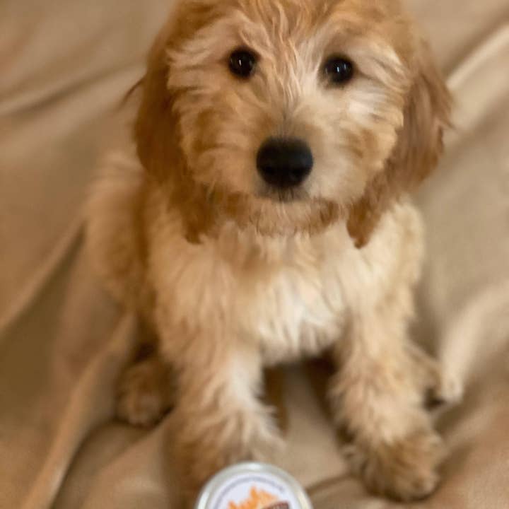 VIAI Beauty - Wholesale Jar/Filled Candle - PRAIRIE FIRE Puppy Breath Soy Wax Candle | 9 oz Amber Apothecary Jar2