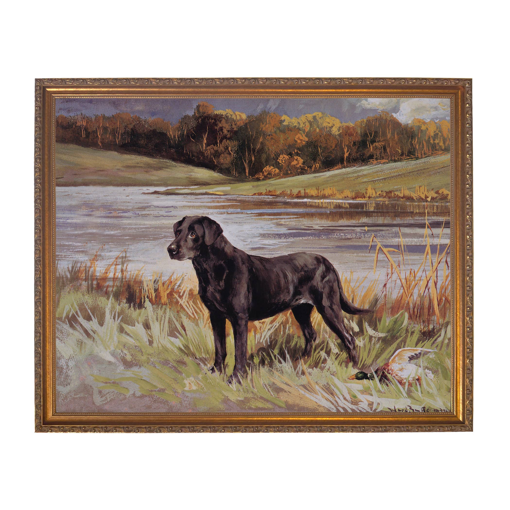 Madison Bay Co. - Historical Home Decor Reproductions - Wholesale Art Print - Labrador Retriever with Duck Framed Painting Print on Canvas10