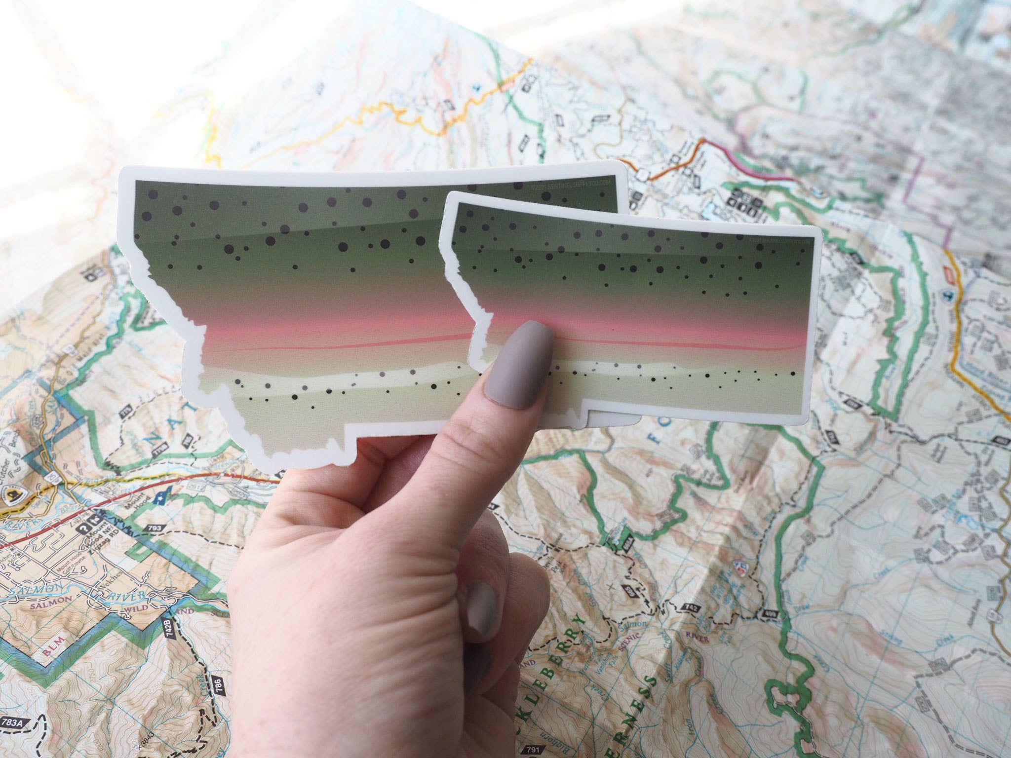 Sentinel Supply – wholesale Klistermärke – Regnbågsöring Montana Fiskedekal - Flugfiske dekal2