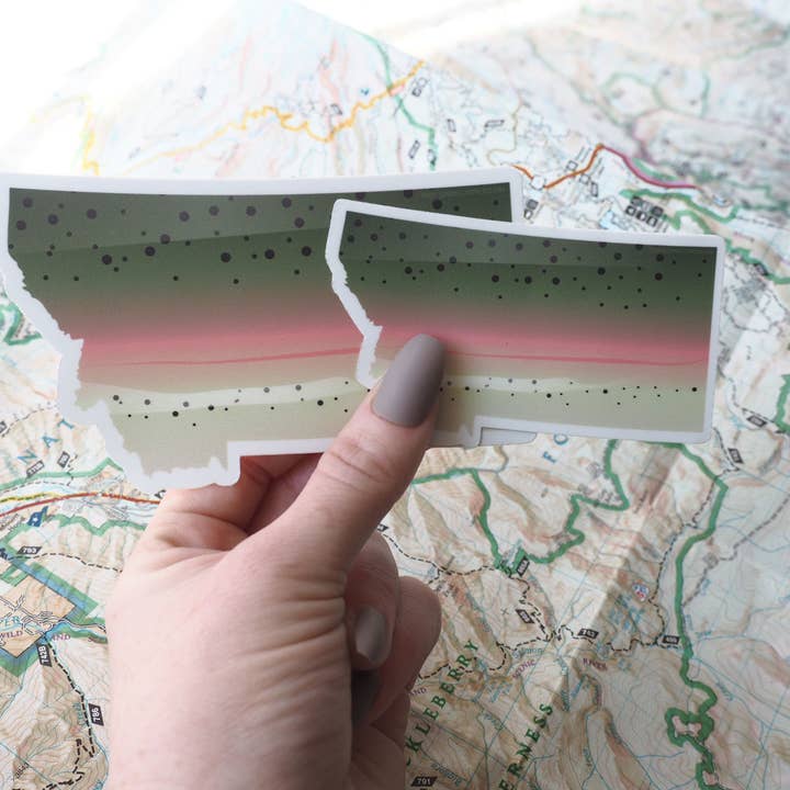 Sentinel Supply – wholesale Klistermärke – Regnbågsöring Montana Fiskedekal - Flugfiske dekal2