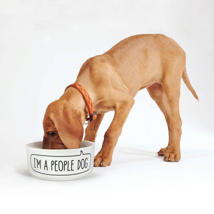 Fred & Friends - Wholesale Pet Bowl - Cat/Dog - Howligans - Mug + Dog Bowl - Dog Person