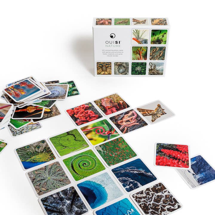 OuiSi - Wholesale Card Game - OuiSi Nature: Games of Visual Connection5