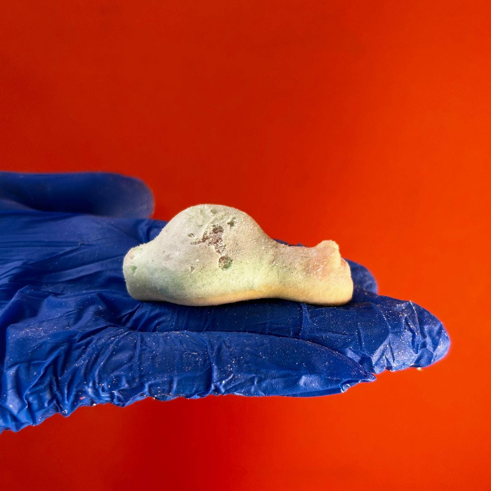 Freeze Dried Sweets - Wholesale Hard Candy - Jelly Filled Snails 4 Pieces - Freeze Dried Sweets2