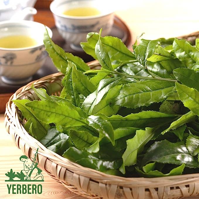 YERBERO - Wholesale Loose Tea - Yerbero - Hoja De Higo Seca (.75 oz - 22gr) Dried Fig Leaf, Ficus Carica Whole Leaf | 100% All Natural Delicious1