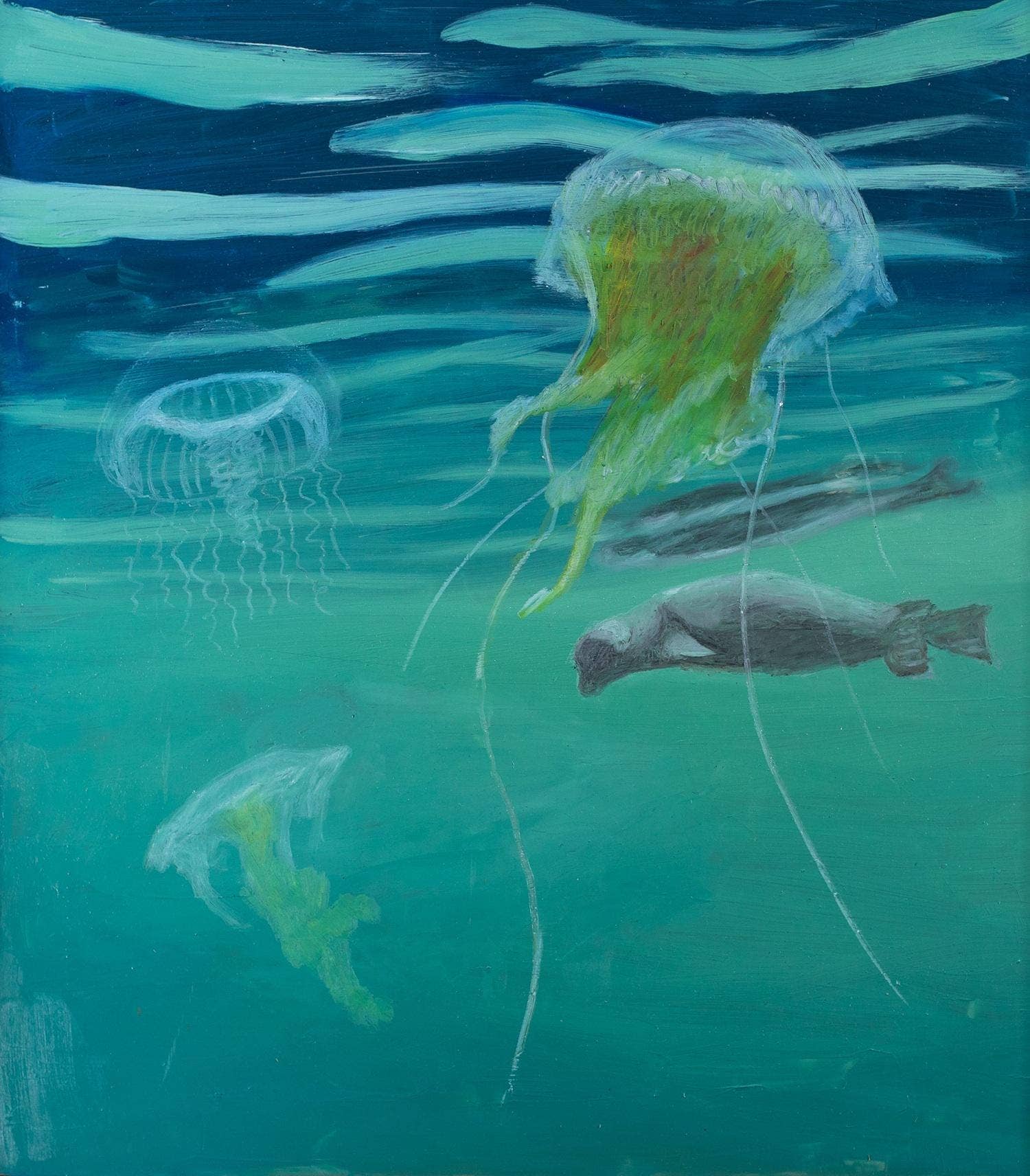 Siri Tiger Kaunda - Wholesale Art Print - Print- Seal and Jellyfish 1