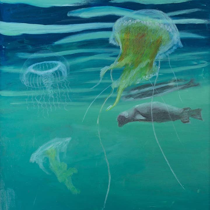 Siri Tiger Kaunda - Wholesale Art Print - Print- Seal and Jellyfish 10