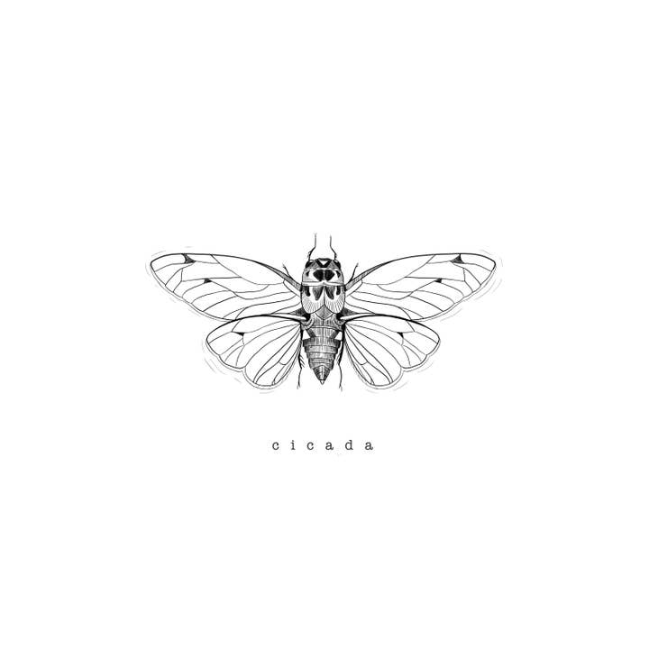 Imprimé Cicada pour la vente par Brevity Art