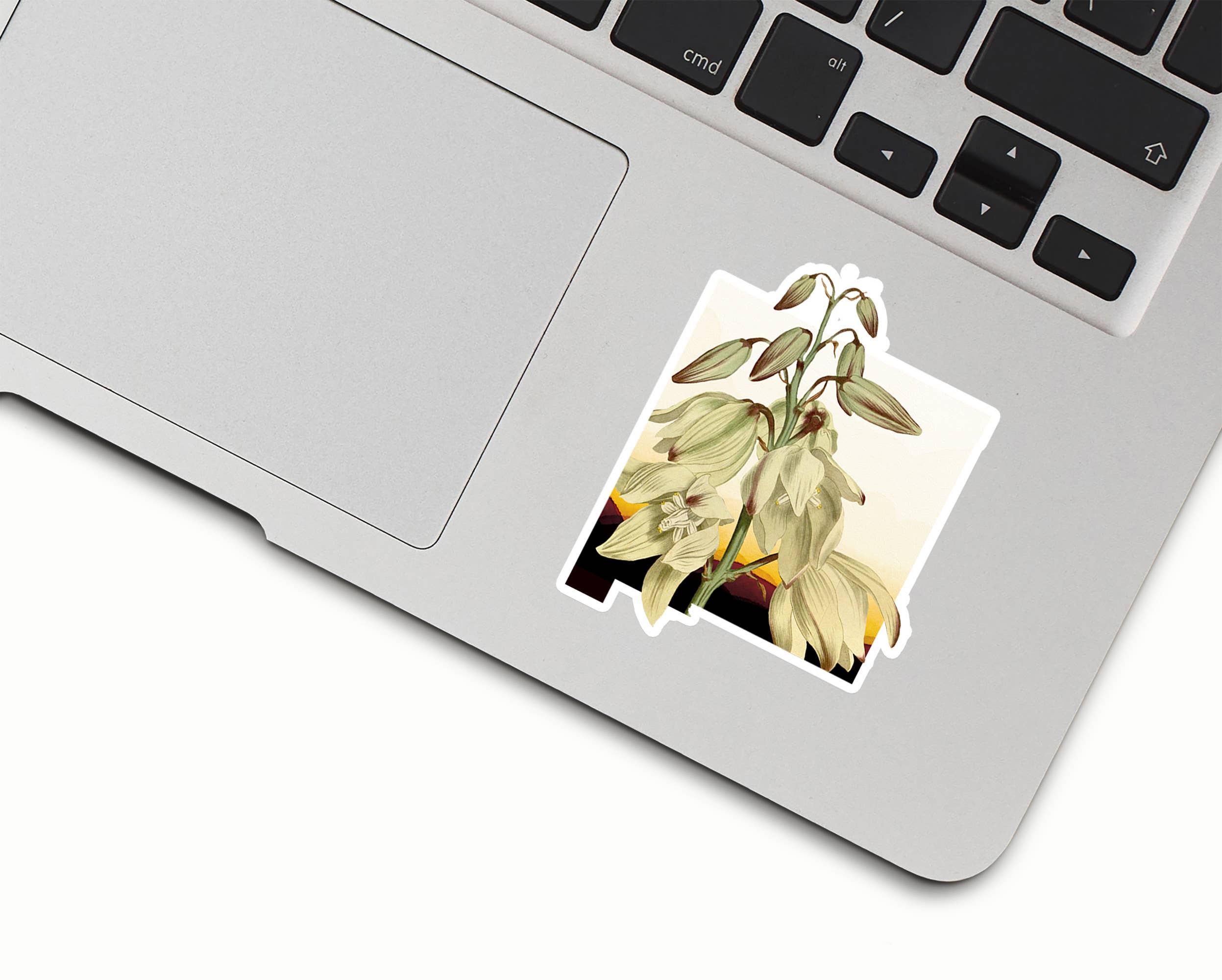 Paperfinch Design – Adesivo por atacado – Adesivo em vinil New Mexico Yucca | State Flower Series