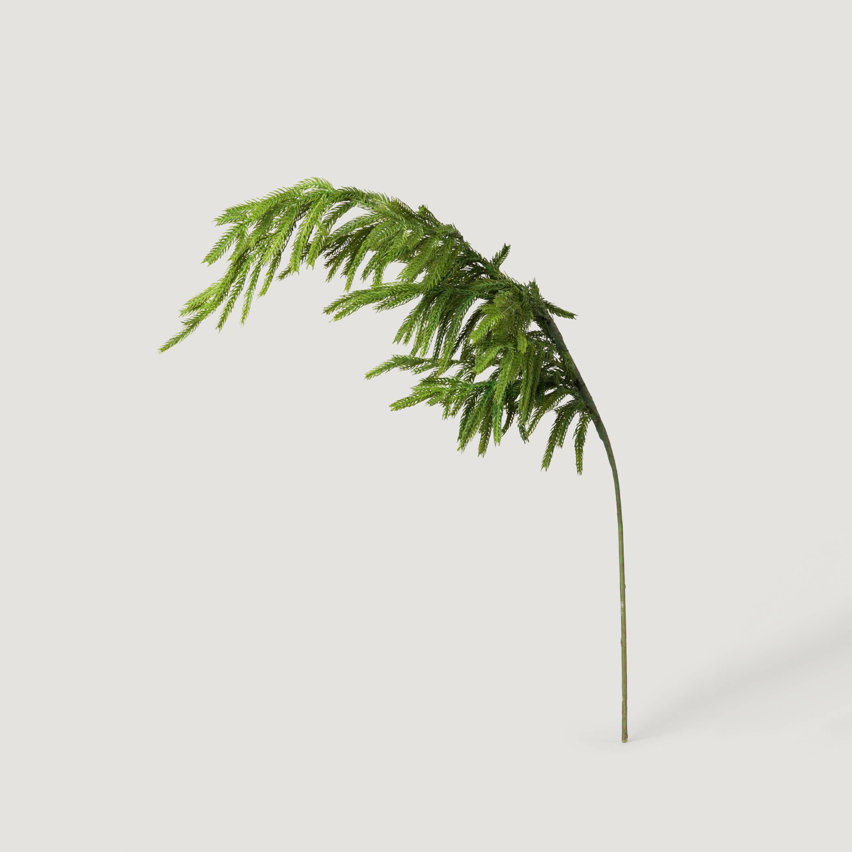Afloral - Wholesale Artificial Plant - Afloral™ Real Touch Norfolk Pine Branch - 36"3