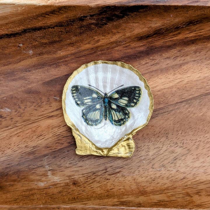 Sea Shell Trinket Dish | Butterflies - Red for wholesale by TillyPad Studios