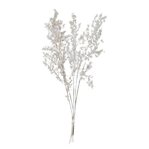 Concari.flores Preservadas – wholesale Konstgjorda blommor – BEVARAD RUSCUS