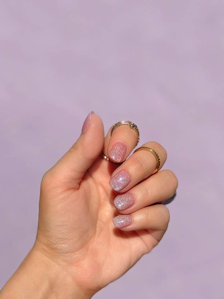 Stechpalme für den Großhandel von Oxalis Bliss