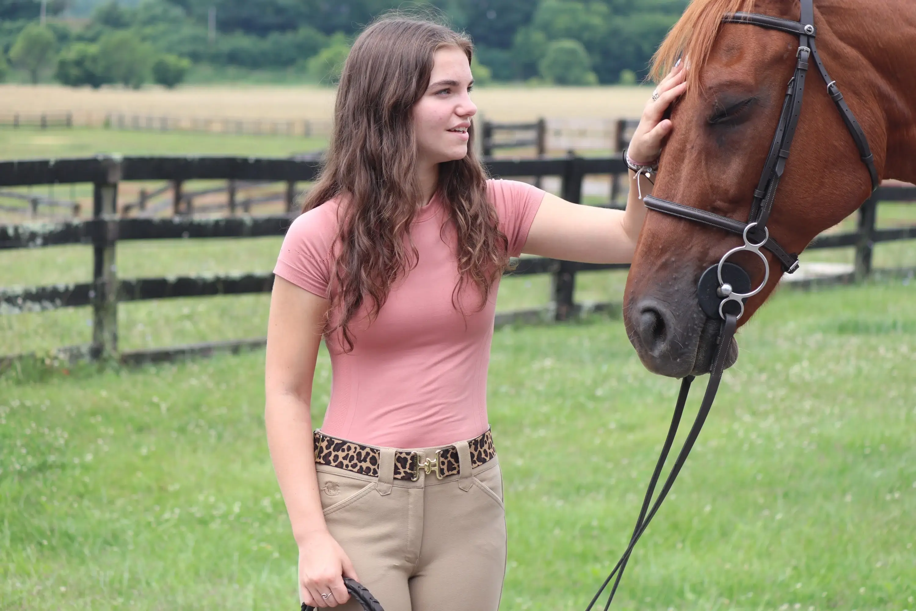Heads Up Apparel - Wholesale Belt - Women's - 2 inch Brown cheetah Elastic Equestrian Belt 8