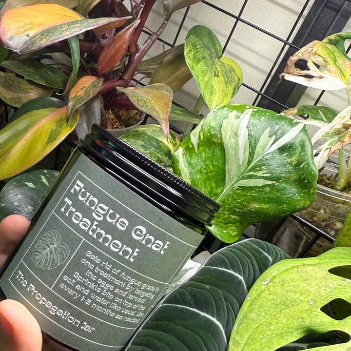 Fungus Gnat Treatment for wholesale by The Propagation Jar