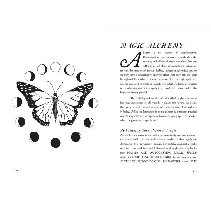 Microcosm Publishing & Distribution - Wholesale Body, Mind & Spirit - You Are a Great and Powerful Wizard: Self-Care Magic3