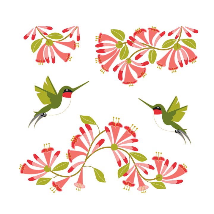 Creative Compass - Vente Gourde/bouteille isotherme - Gobelets Isolés | Enveloppe Colibri